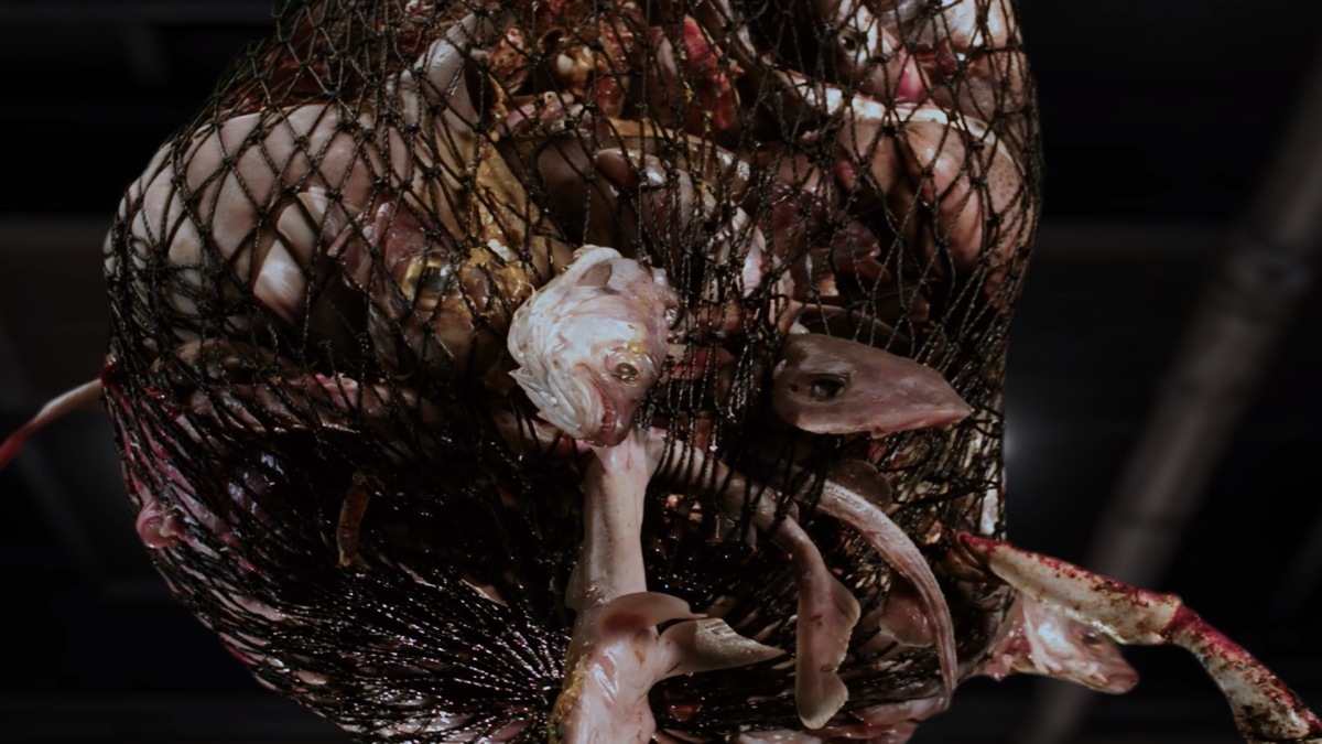 2025 戛纳企业媒体与电视奖 金奖《海的底线》（The Bottom Line）