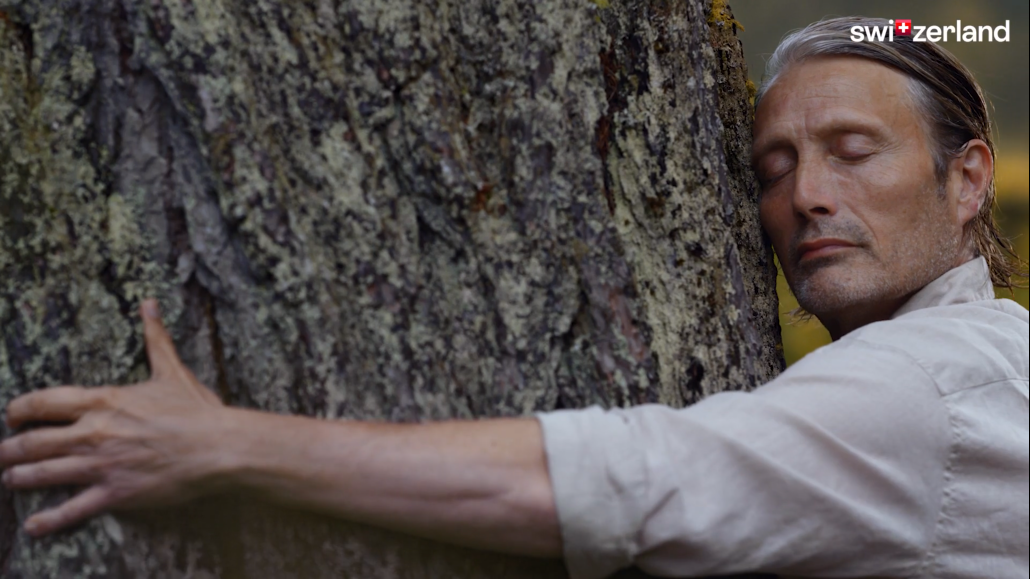 瑞士秋季旅游宣传片｜Roger Federer 主演｜2025 Cannes 金奖